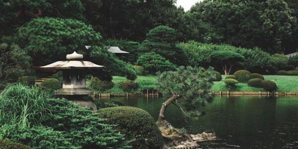 Begleitpflanzung im Japanischen Stil: Harmonie und Ästhetik im Garten