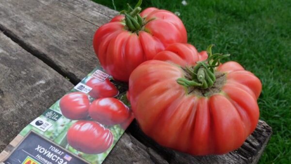 Diese Tomate hat alle meine Erwartungen übertroffen: Form, Geschmack und Eigenschaften stimmen zu 100 %